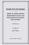 Ideen zu einer Reinen Phaenomenologie und Phaenomenologischen Philosophie - Edmund Husserl|Marly Biemel
