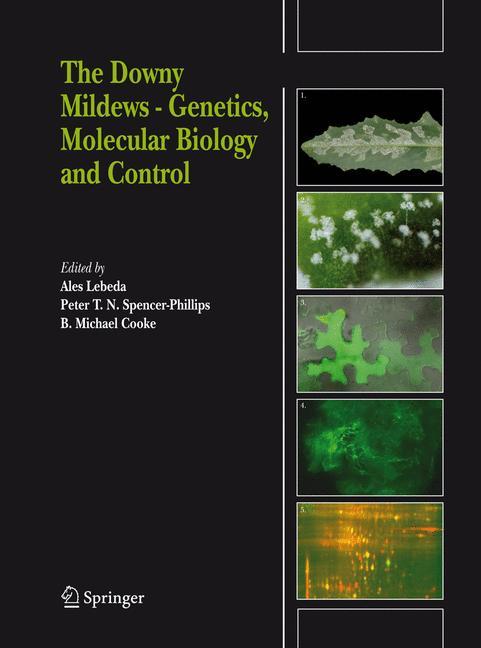 The Downy Mildews - Genetics, Molecular Biology and Control - Lebeda, Ales|Spencer-Phillips, Peter T. N.|Cooke, B. Michael