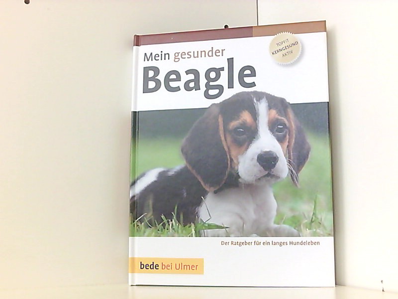 Mein gesunder Beagle - Jordan, Paul