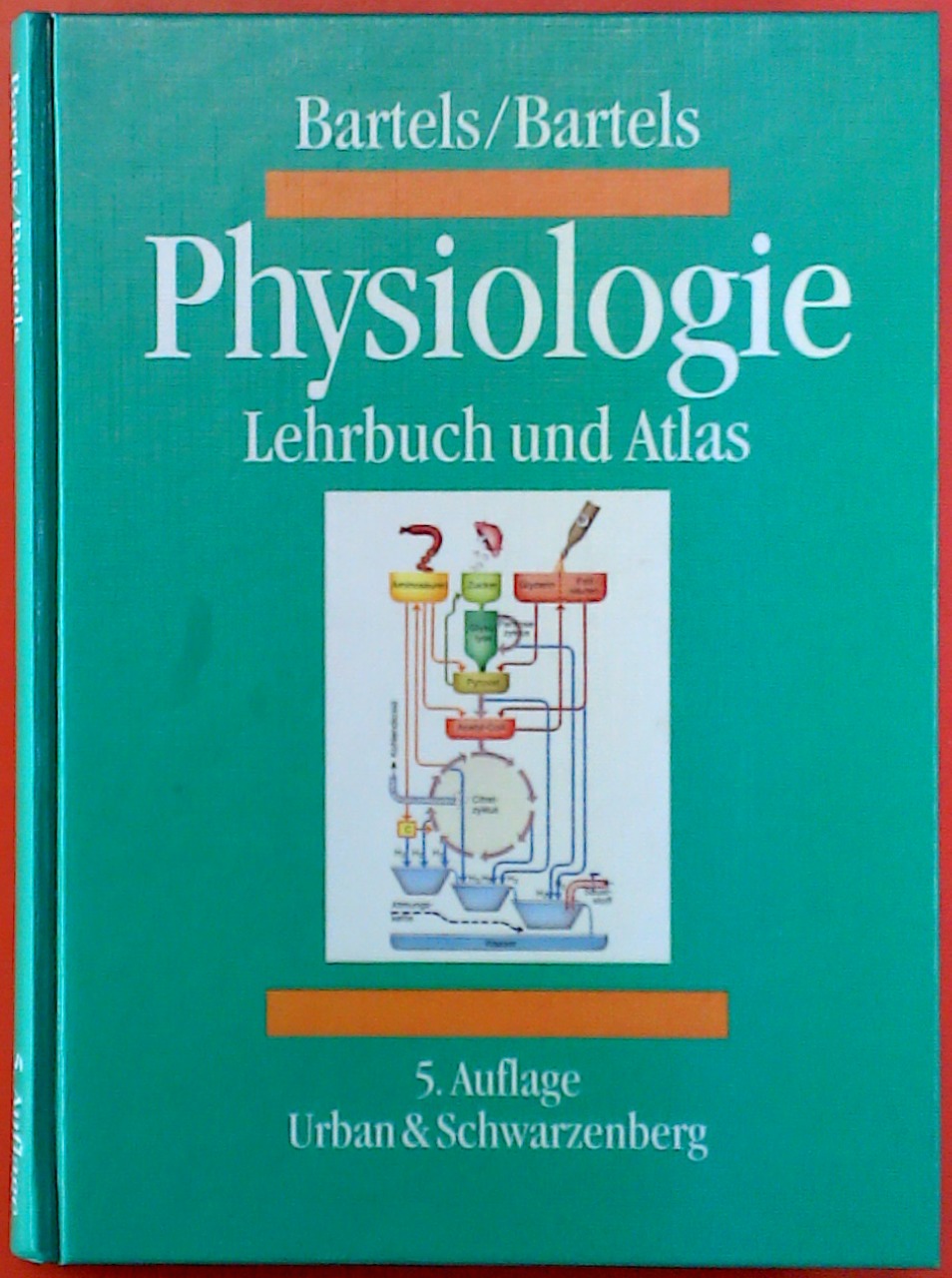 Physiologie - Lehrbuch und Atlas. 5. Auflage. - Heinz Bartels / Rut Bartels