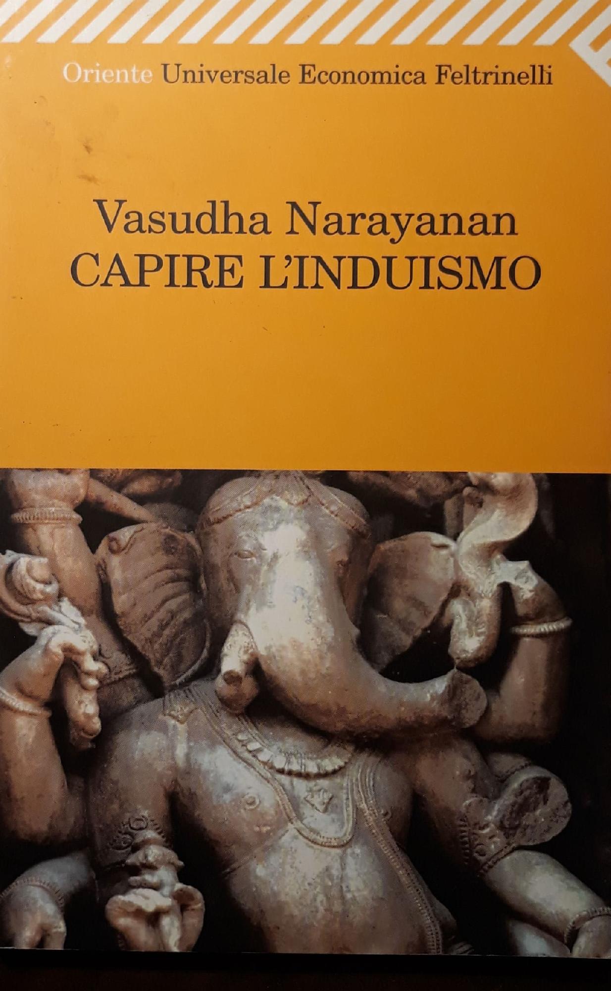 Capire l'induismo - Vasudha Narayanan