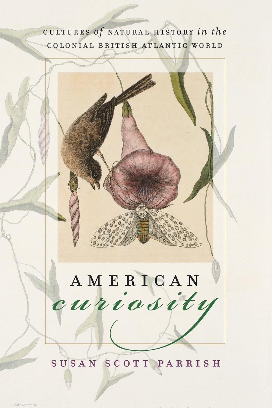 American Curiosity - Parrish, Susan Scott