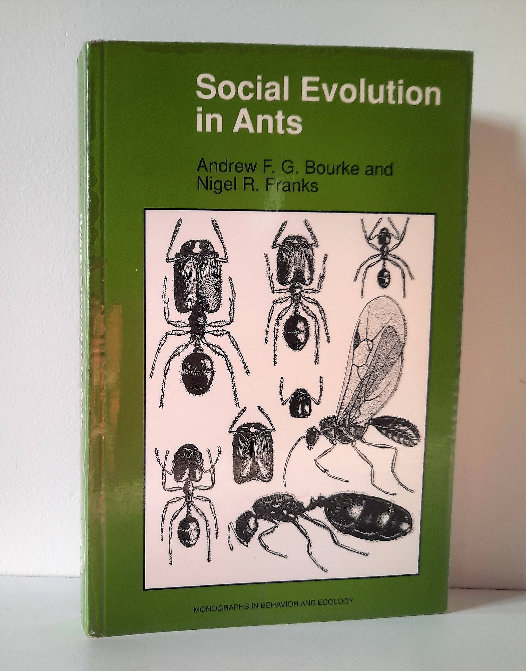 Social Evolution in Ants - Bourke, Andrew F.G.; Franks, Nigel R.