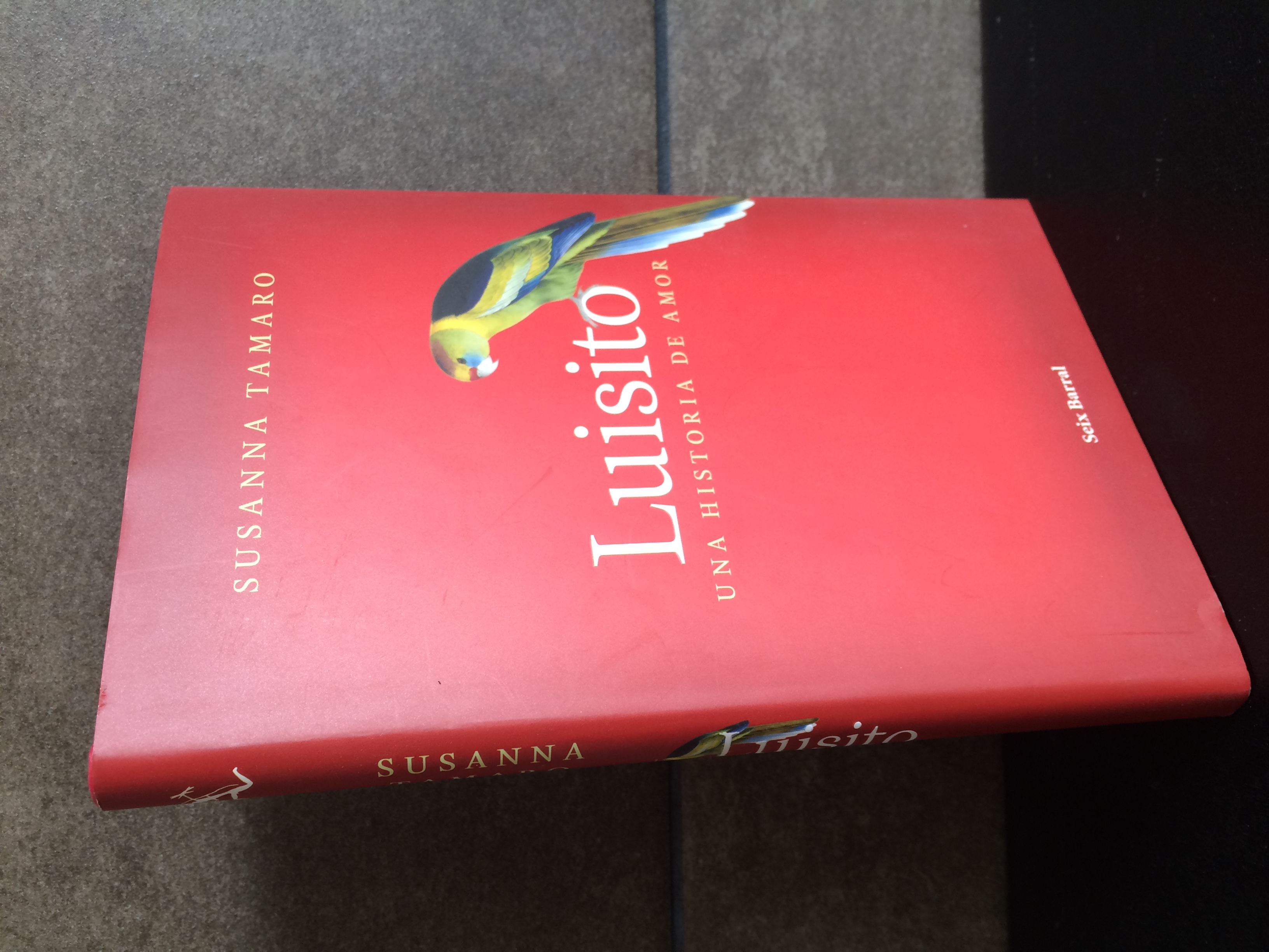 Luisito. Una historia de amor (Biblioteca Abierta). Susanna Tamaro. - Tamaro, Susanna