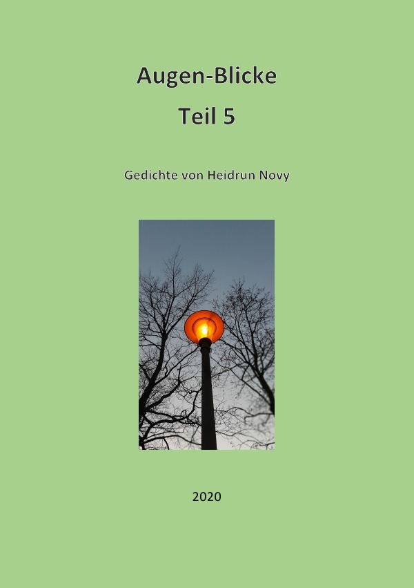 Augenblicke Gedichte Teil 5 - Novy, Heidrun