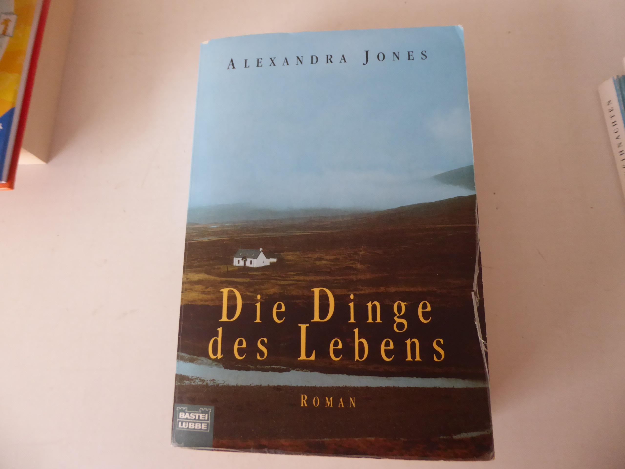 Die Dinge des Lebens. Roman. TB - Alexandra Jones