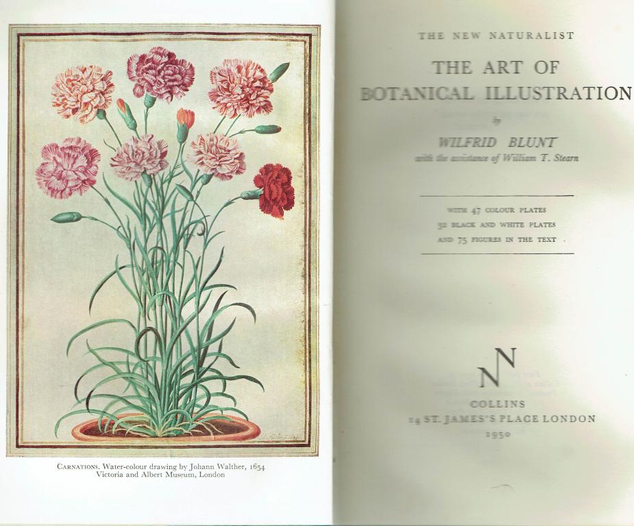 of Botanical Illustration by Wilfrid Blunt: Near Fine Hardcover (1950) 1st | Book Services