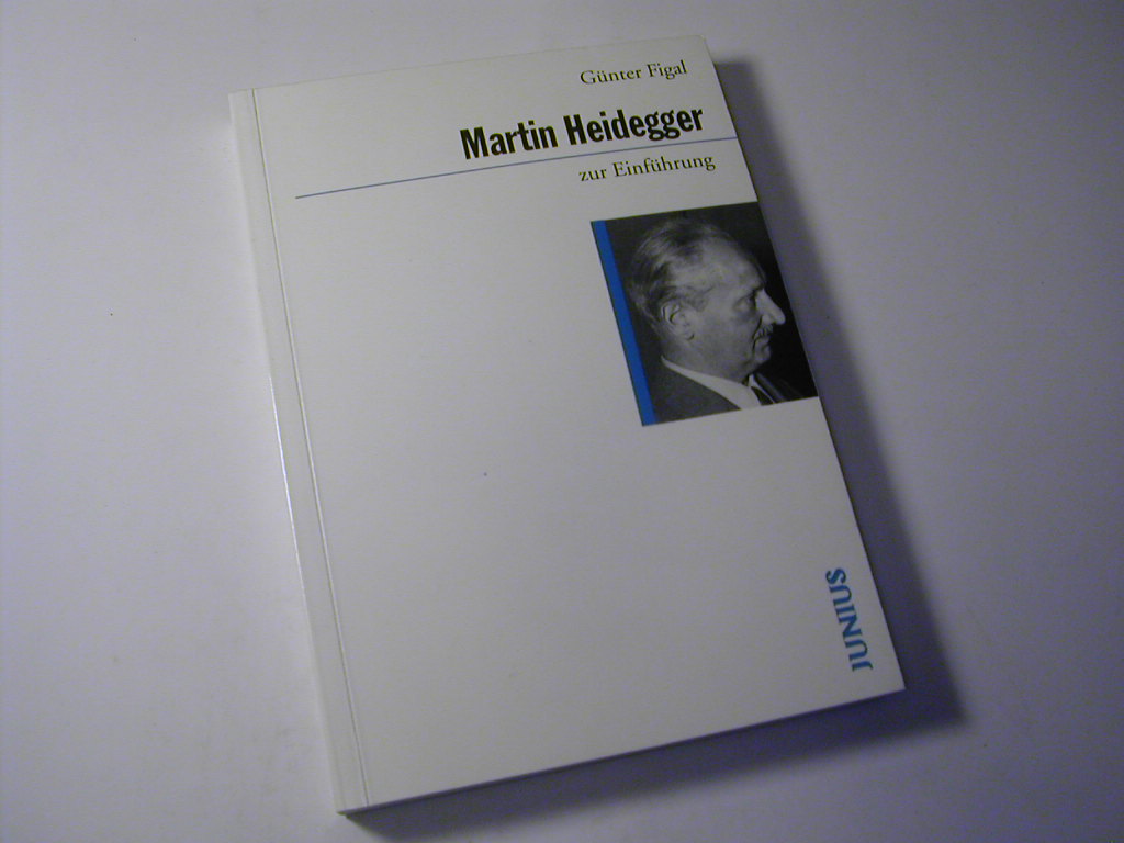 Martin Heidegger zur Einführung - Günter Figal