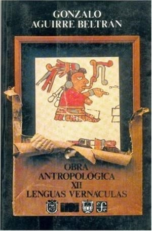 Obra Antropologica Vii (coleccion Antropologia) - Aguirre B - AGUIRRE BELTRAN GONZALO