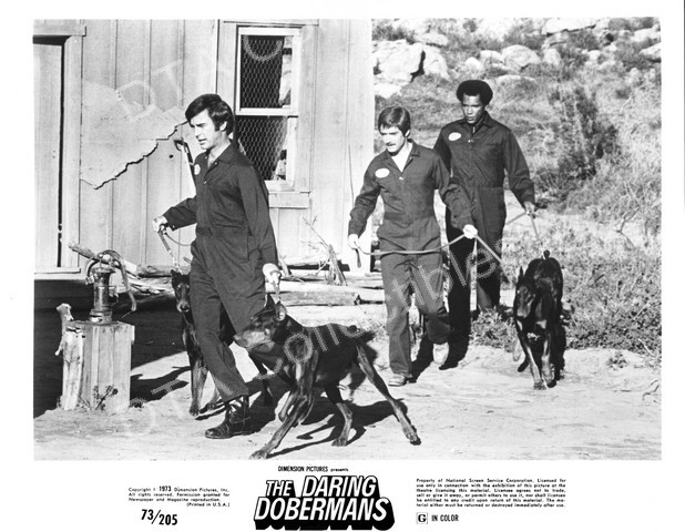 The daring dobermans sales
