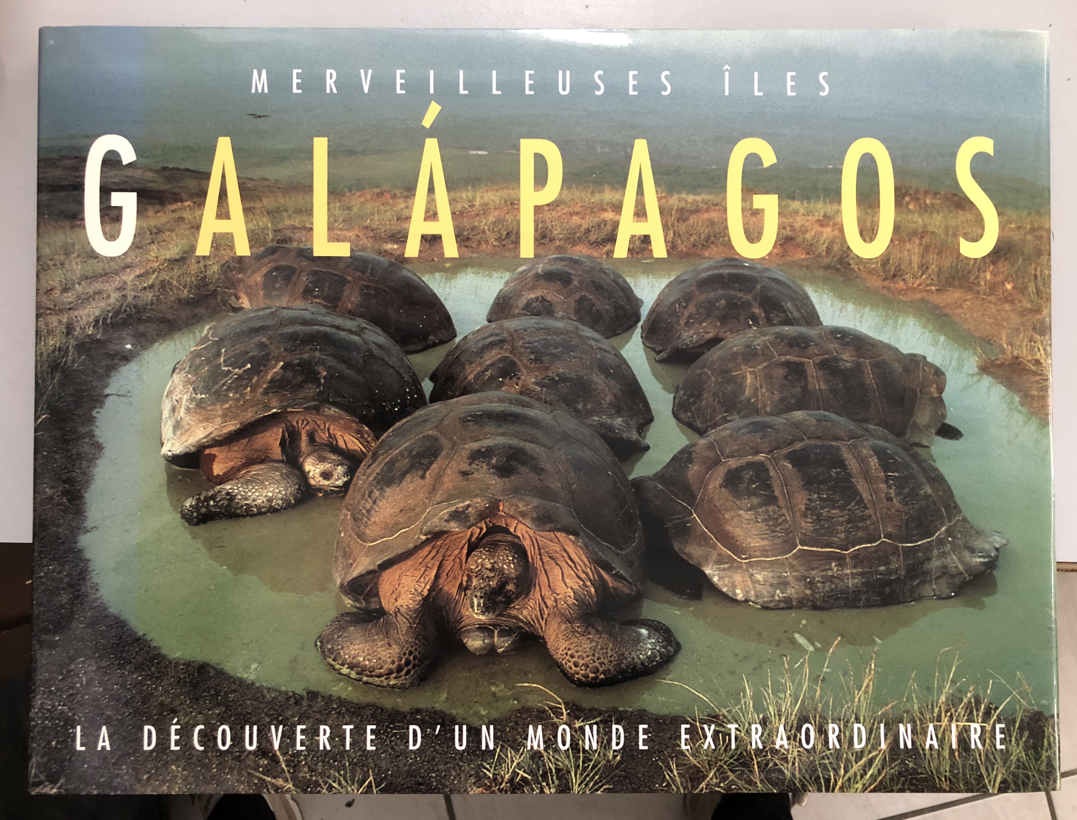 Merveilleuses îles Galapagos : La découverte d'un monde extraordinaire - Tui De Roy