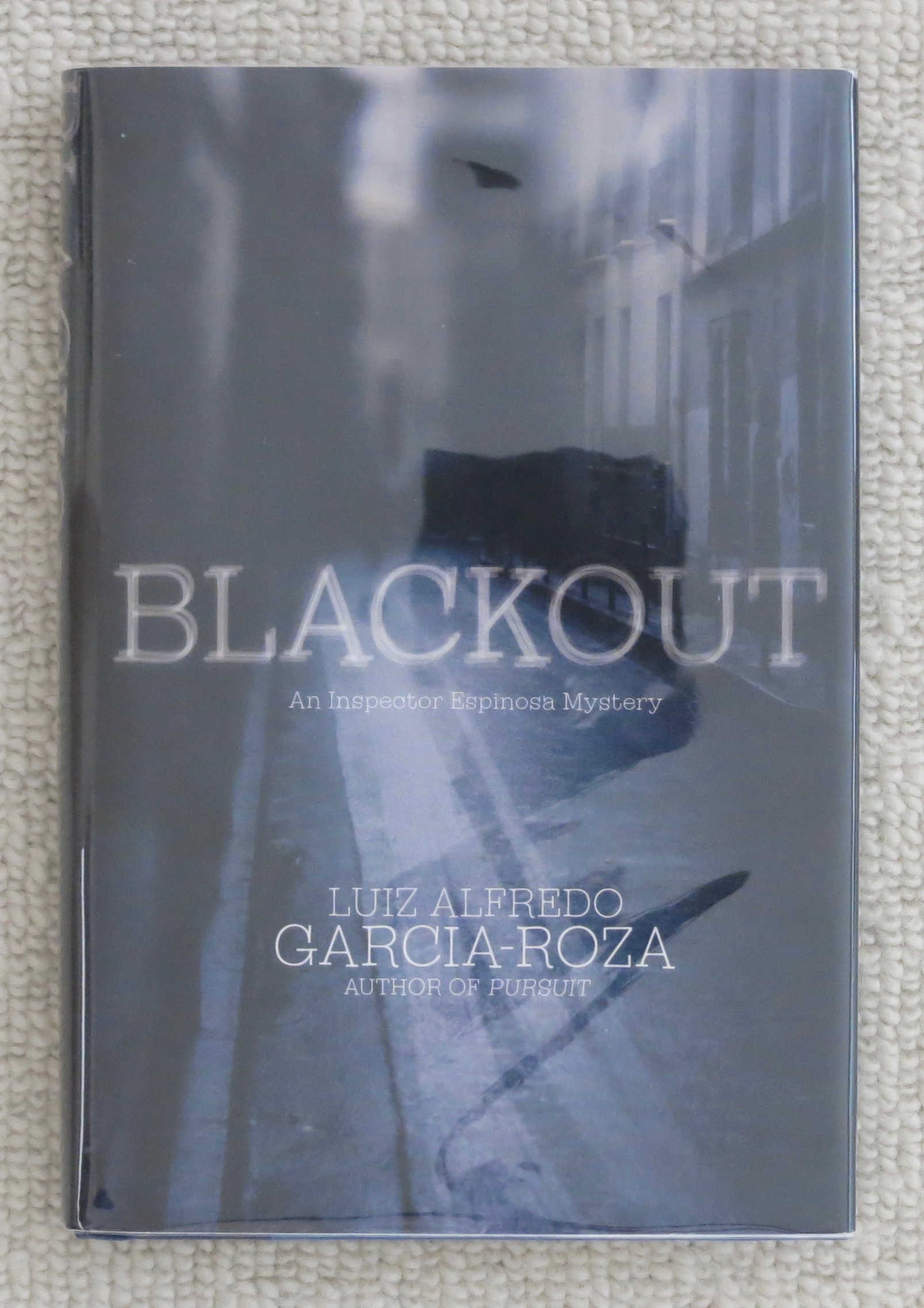 Blackout by Luiz Alfredo GarciaRoza Fine hardback (2008) First