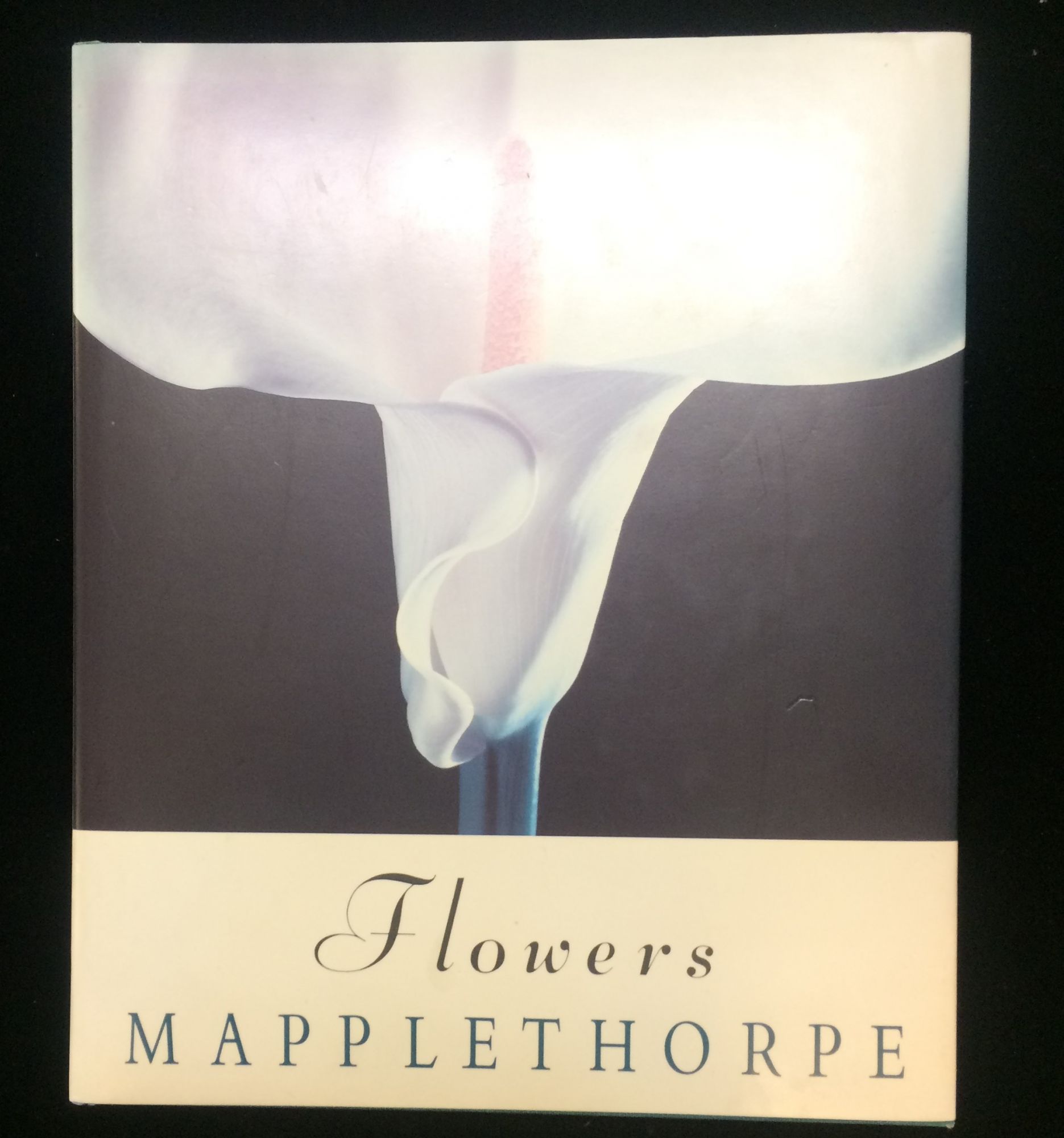FLOWERS MAPPLETHORPE Mapplethorpe, Robert (photography). Smith, Patti (forward by) [As New] [Hardcover]