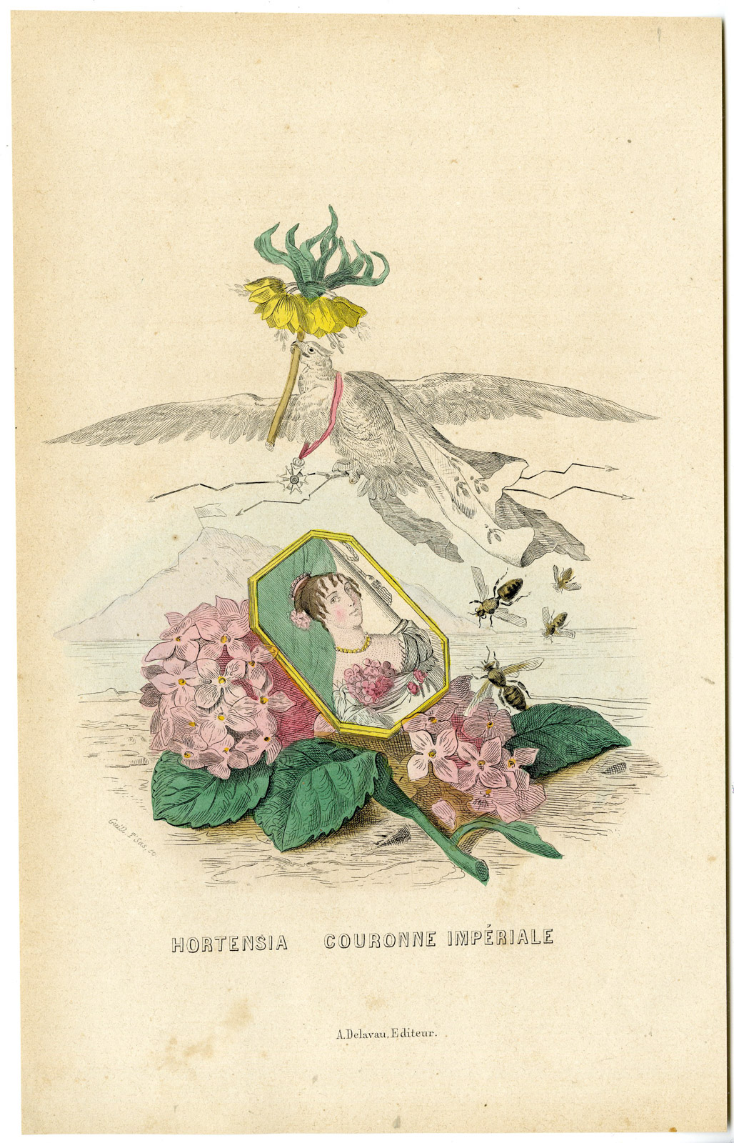 Antique Print-FLOWERS PERSONIFIED-WOMAN HORTENSIA-FRITELLARIA-Grandville-1852 Guillaume T'Sas [Very Good]