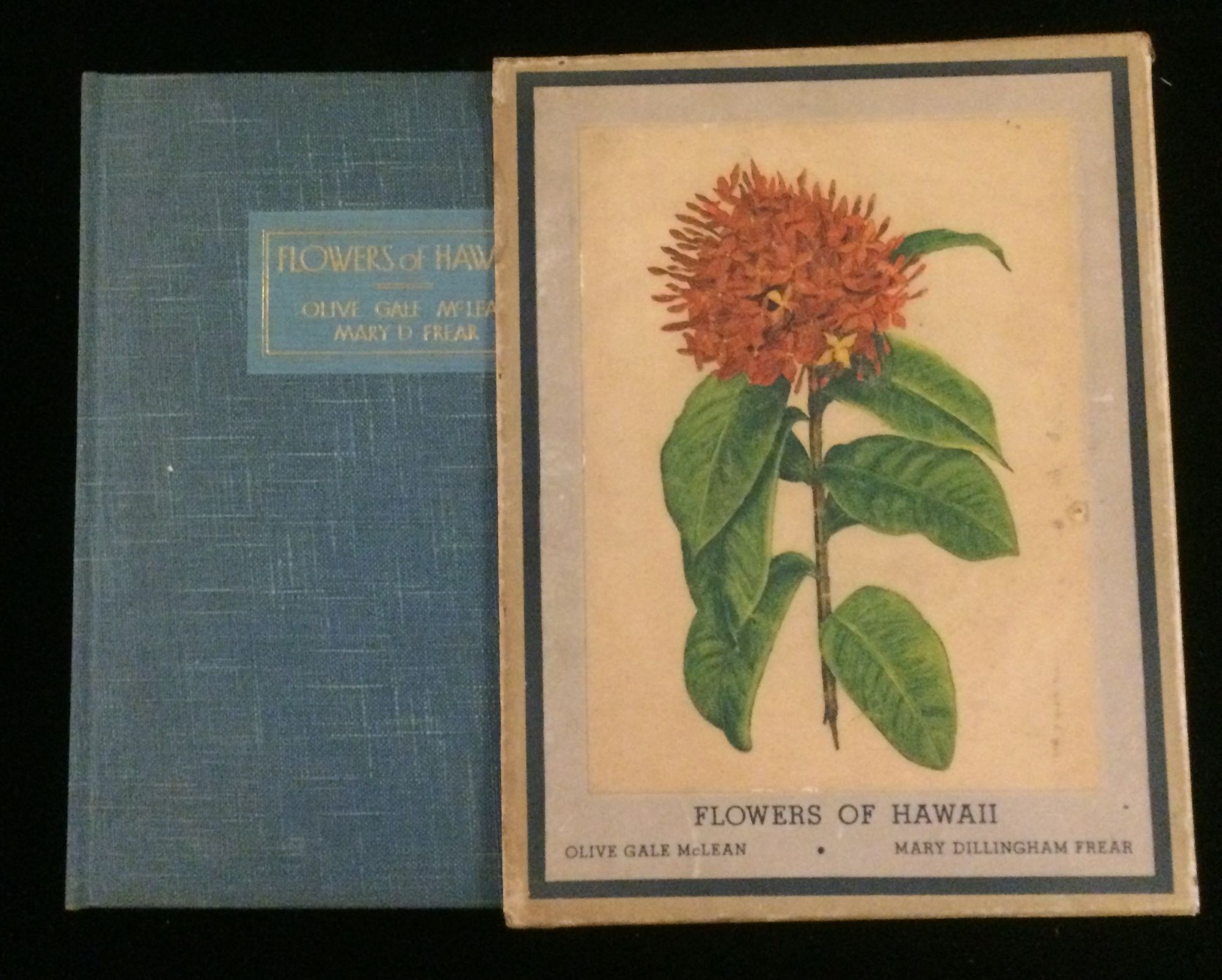 FLOWERS OF HAWAII by McLean, Olive Gael (illustrations). Frear, Mary D ...