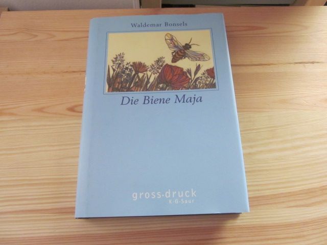 Die Biene Maja und ihre Abenteuer (grossdruck K.G. Saur: Bücher in grösserer Schrift)