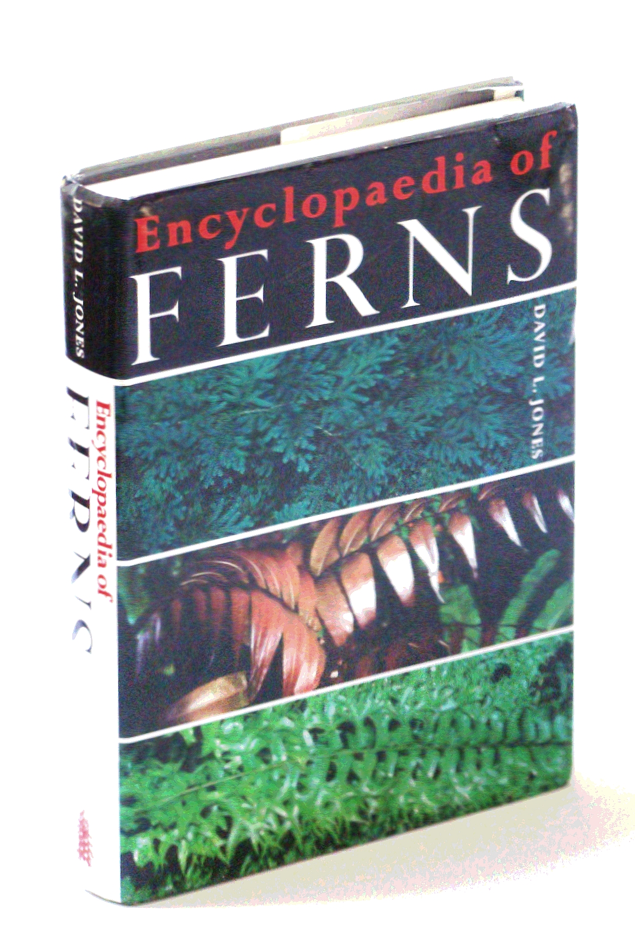 Encyclopaedia [Encyclopedia] of Ferns: An Introduction to ferns, Their Structure, Biology, Economic Importance, Cultivation and Propagation - David L. Jones