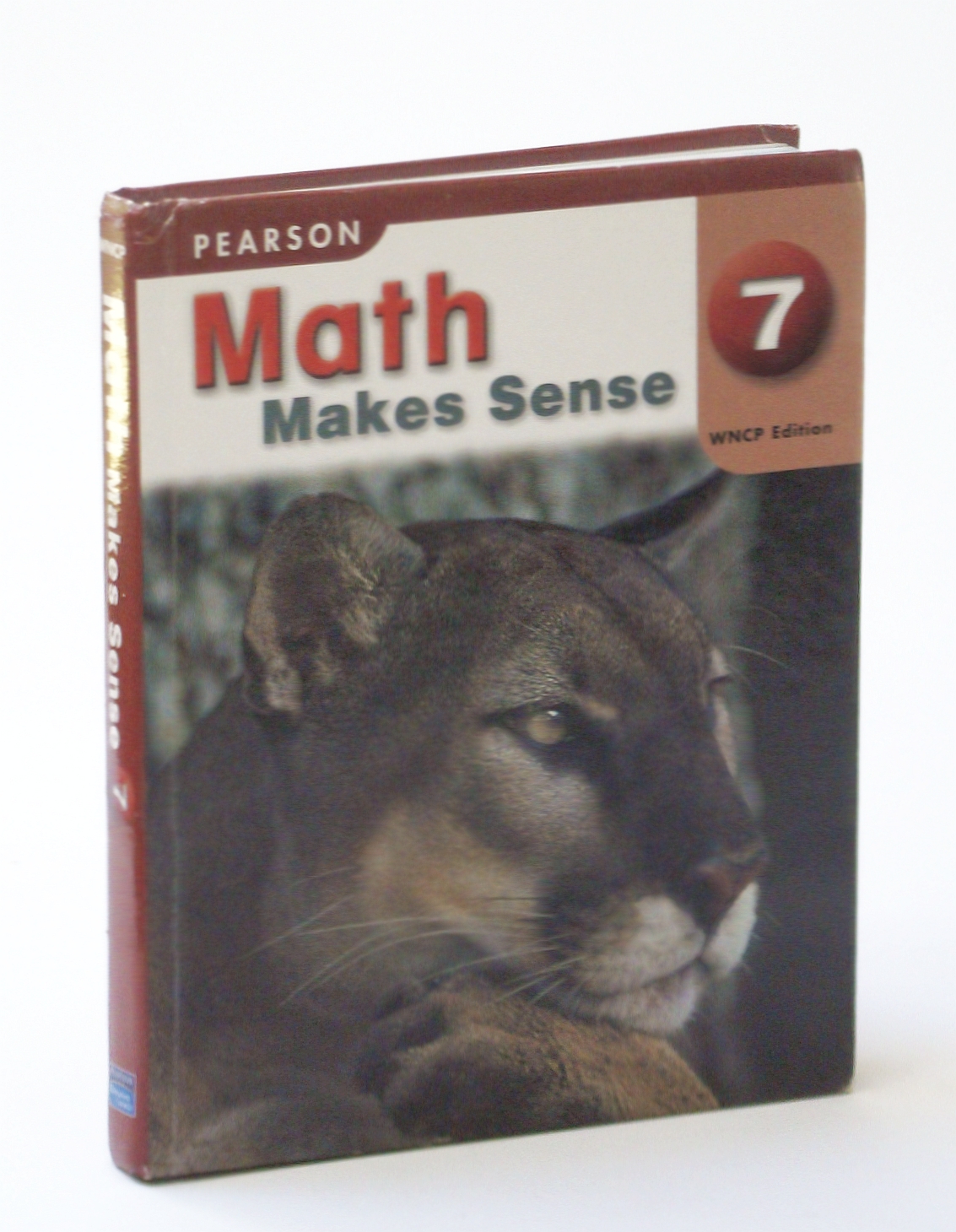 math makes sense 7 practice and homework book teacher's edition
