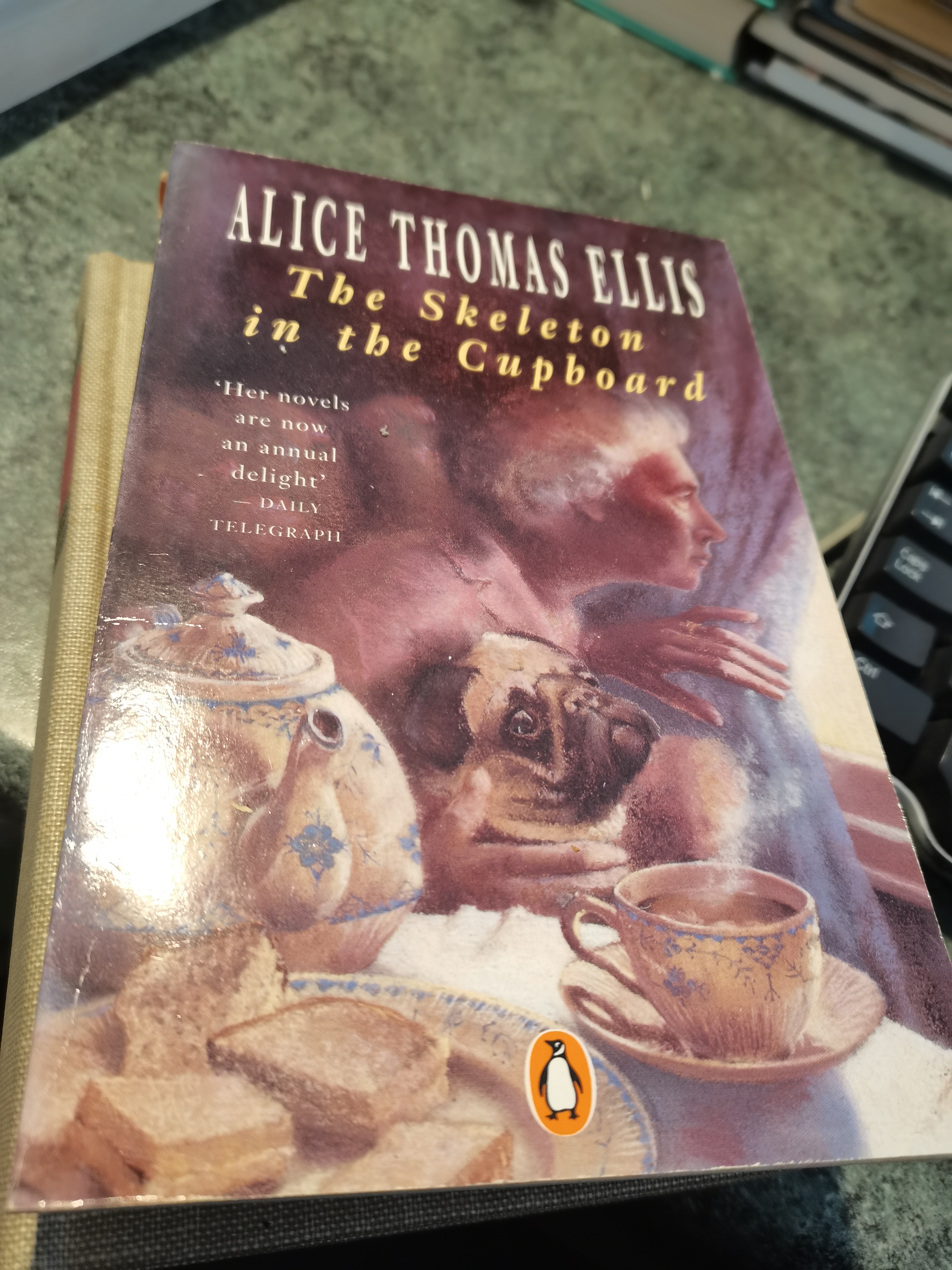 The Skeleton in the Cupboard - Alice Thomas Ellis