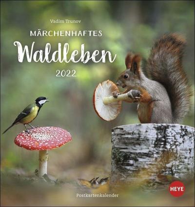 Vadim Trunov: Märchenhaftes Waldleben Postkartenkalender 2022 - Vadim Trunov
