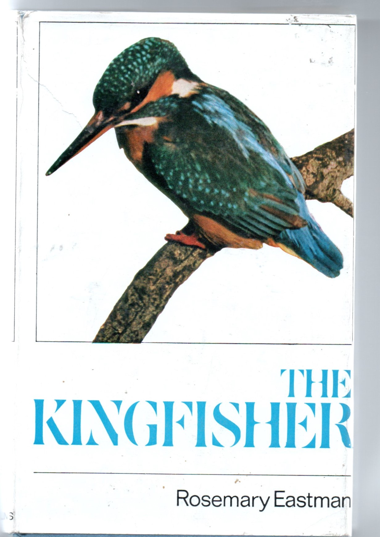 The Kingfisher by Eastman, Rosemary Very Good Hardcover (1969) 1st