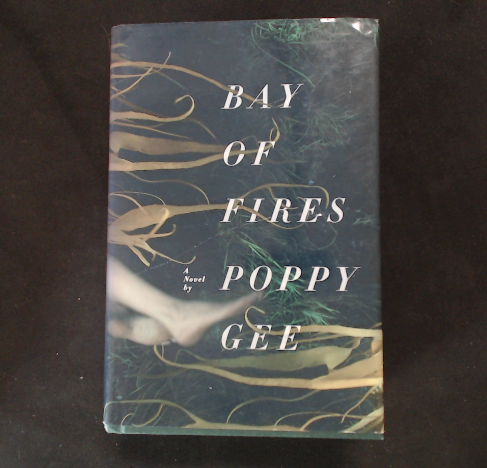 Bay of Fires - Poppy Gee