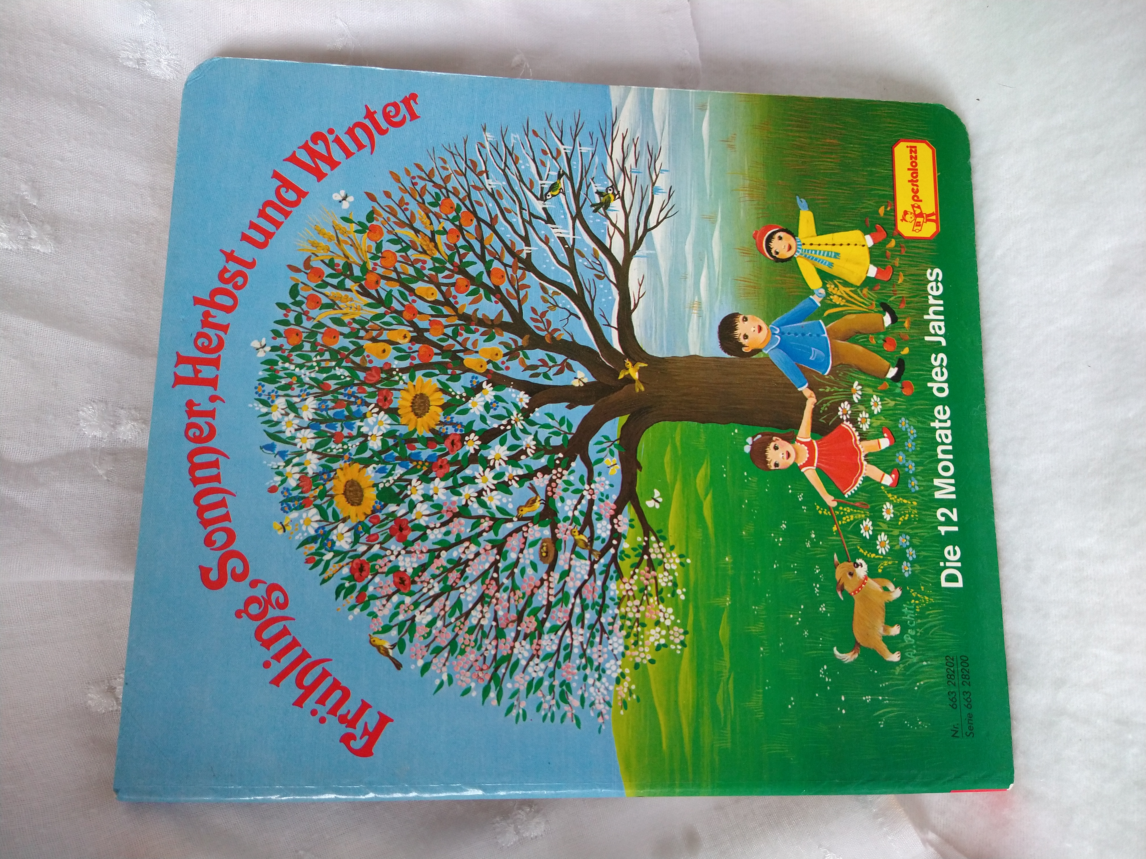 Frühling, Sommer, Herbst und Winter. Die 12 Monate des Jahres. - Fischer, Gisela (Text) und Angelika Pechtl (Illustration)