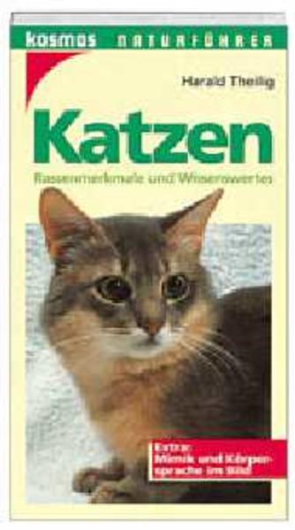 Katzen - Theilig, Harald