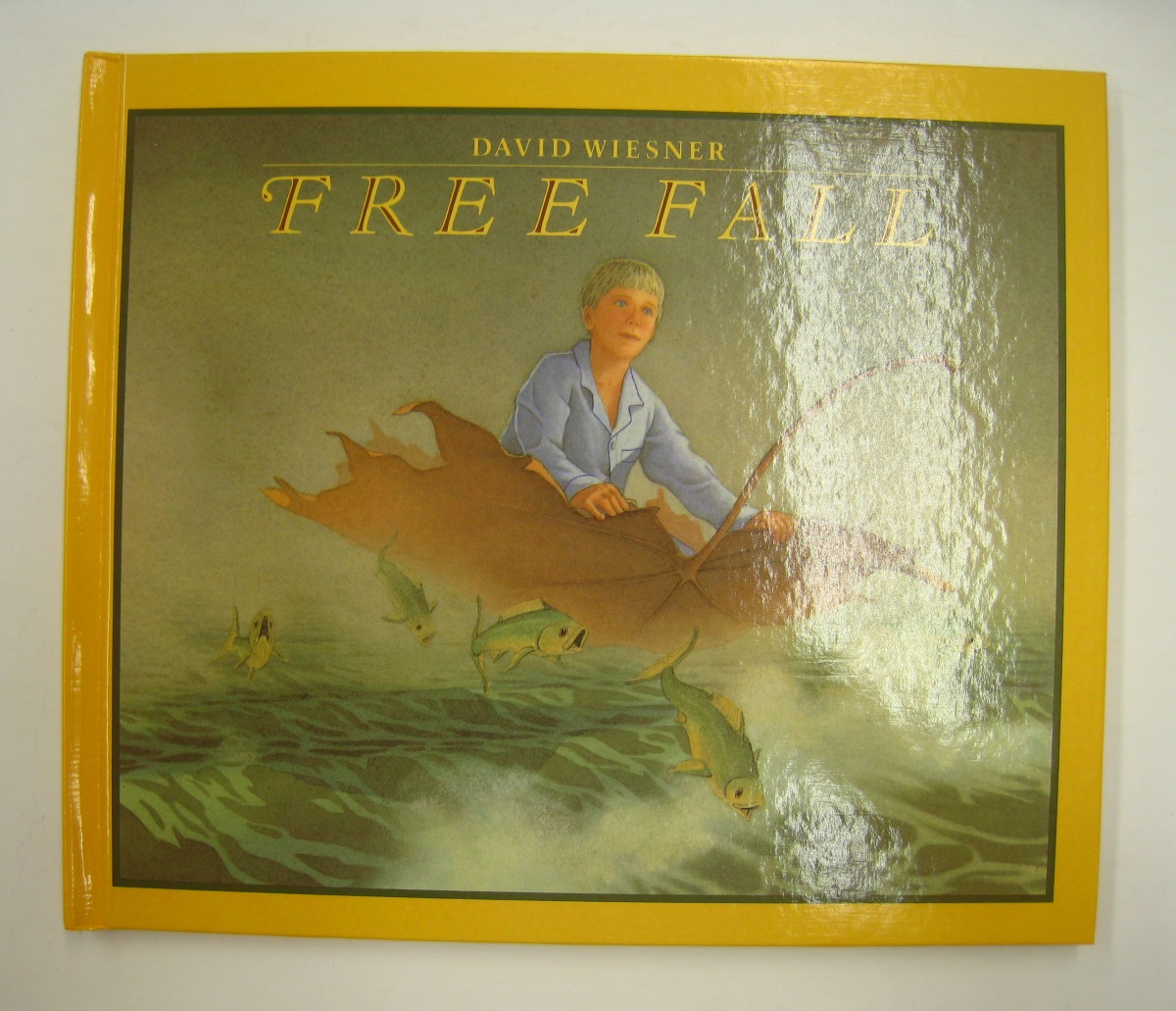 Free Fall - David Wiesner