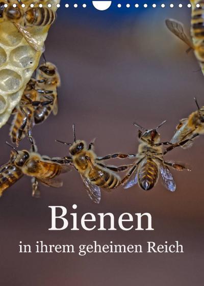 Bienen in ihrem geheimen Reich (Wandkalender 2022 DIN A4 hoch) : Die Geheimnisse des Bienenstocks (Monatskalender, 14 Seiten ) - Mark Bangert