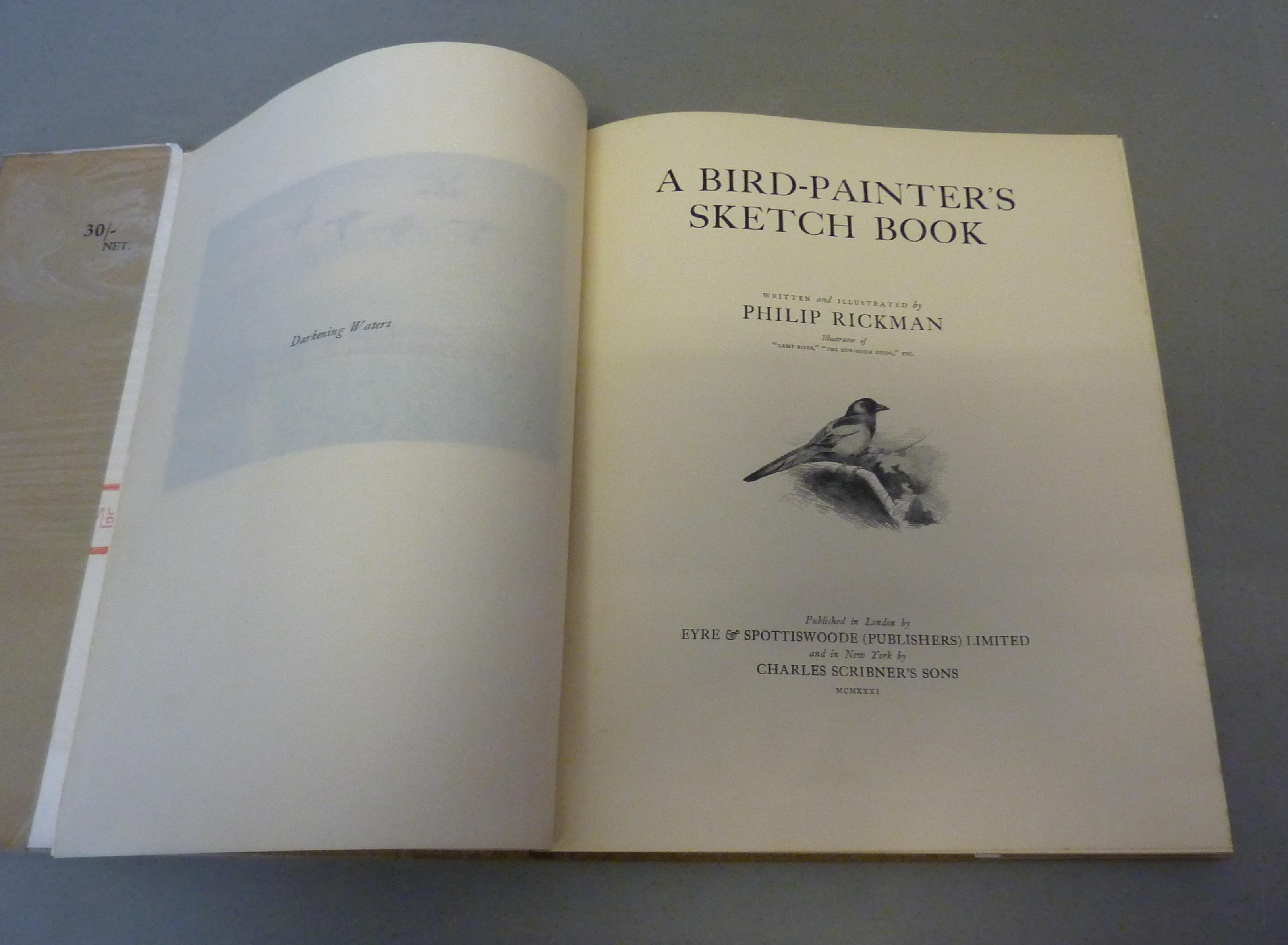 A Bird-Painter's Sketch Book Rickman, Philip [Very Good] [Hardcover]