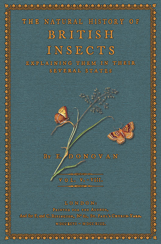 Natural History of British Insects 5 - 8 - Donovan, Edward