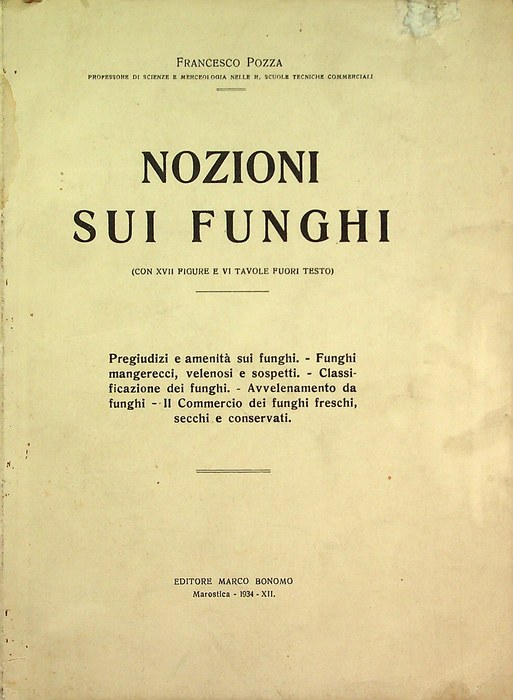 Nozioni sui funghi pregiudizi e amenita sui funghi; funghi mangerecci