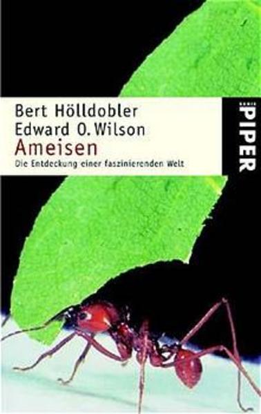 Ameisen: Die Entdeckung einer faszinierenden Welt - Hölldobler, Bert und O. Wilson Edward