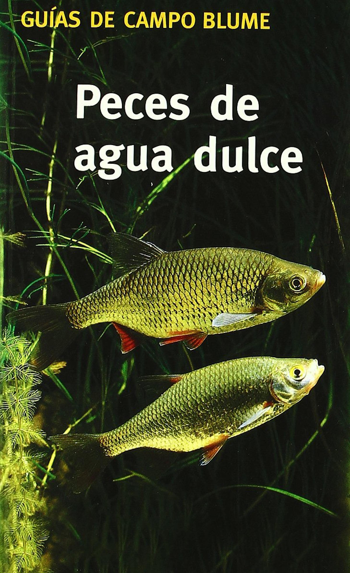 Guia campo peces agua dulce - Steinbach, Gunter