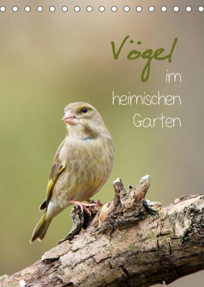 Vögel im heimischen Garten (Tischkalender 2022 DIN A5 hoch) : Vogelbilder aus dem heimischen Garten (Planer, 14 Seiten ) - Heidi Spiegler