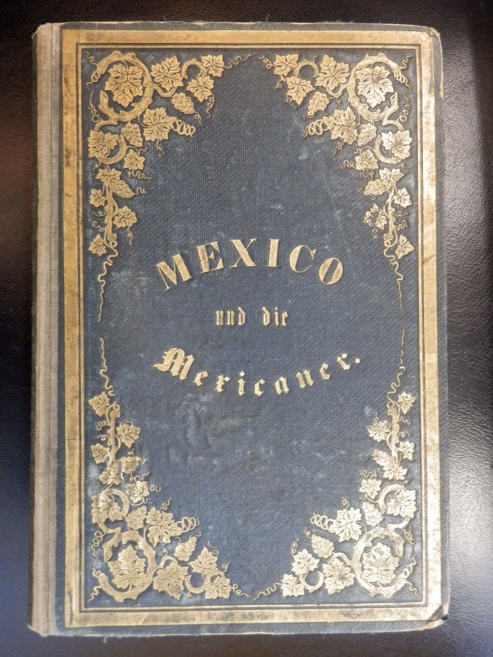 Mexiko Landschaftsbilder Und Skizzen Aus Dem Volksleben Mexico Und Die Mexicaner By Chhristian Sartorius Befriedigend Hardcover 1859 Antiquariat Lastovka Gbr