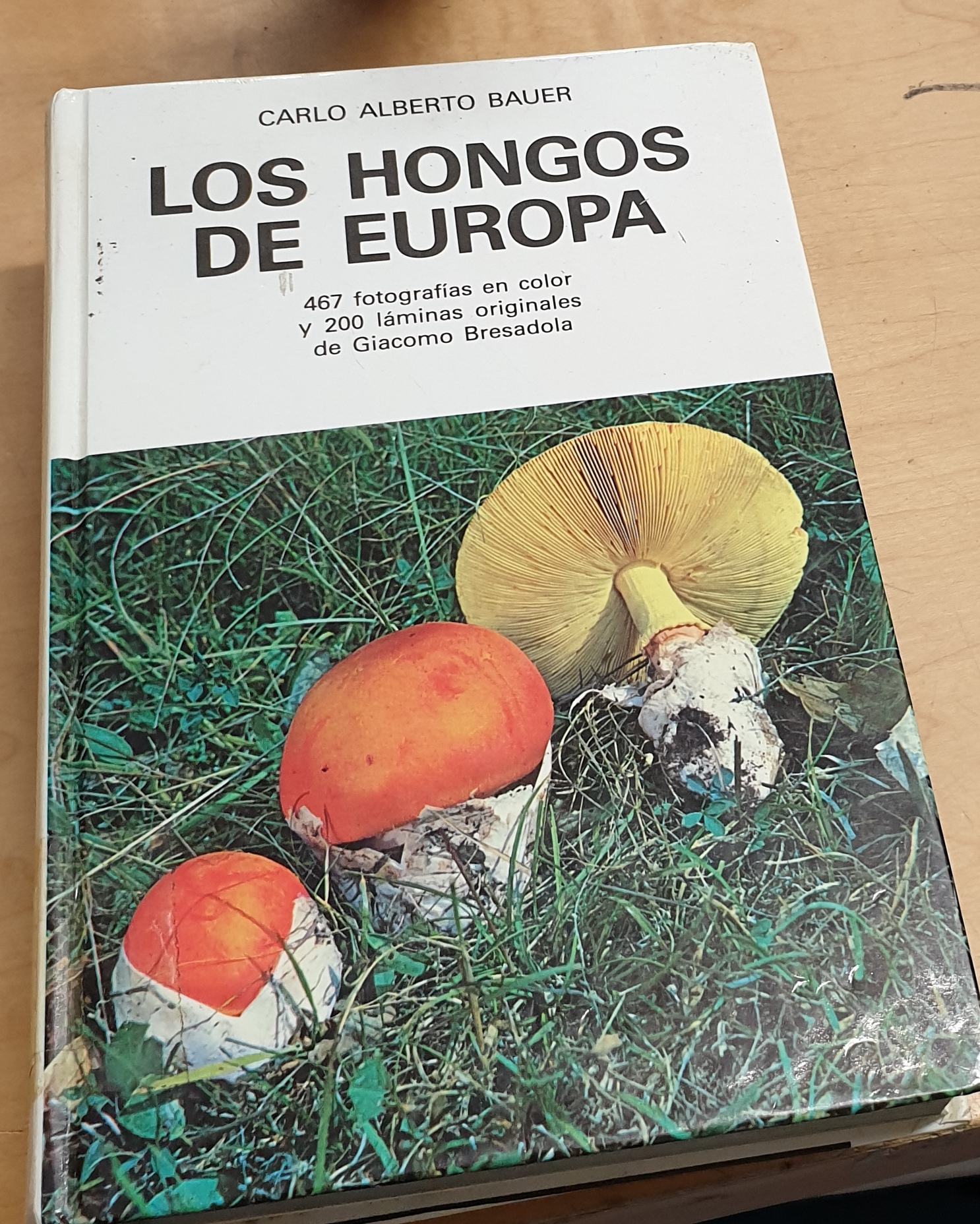 Los hongos de Europa. 467 fotografías en color y 200 láminas originales de Giacomo Bresadola. Traducción Elena Torres - BAUER, CARLO ALBERTO