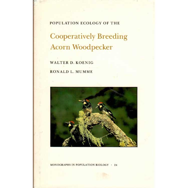 Population Ecology of the Cooperatively Breeding Acorn Woodpecker - Koenig, Walter D.; Ronald L. Mumme