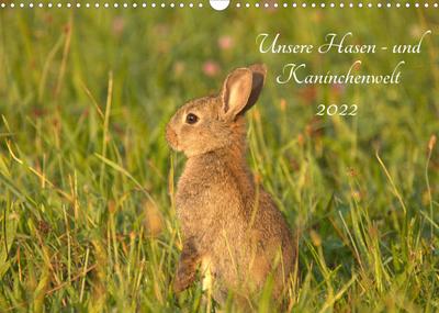 Unsere Hasen - und Kaninchenwelt (Wandkalender 2022 DIN A3 quer) : Beobachten Sie doch mit mir die heimische Tierwelt, z. B. die flinken Feldhasen und Kaninchen. (Geburtstagskalender, 14 Seiten ) - Kevin Andreas Lederle