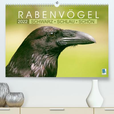 Rabenvögel: Schwarz, schlau, schön (Premium, hochwertiger DIN A2 Wandkalender 2022, Kunstdruck in Hochglanz) : Raben, Elstern Krähen und Eichelhäher: Ist der Ruf erst ruiniert (Monatskalender, 14 Seiten ) - Calvendo