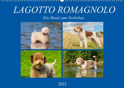 Lagotto Romagnolo - Ein Hund zum Verlieben (Wandkalender 2022 DIN A2 quer) : Der Lagotto Romagnolo auf 13 zauberhaften Kalenderblättern (Monatskalender, 14 Seiten ) - N. N