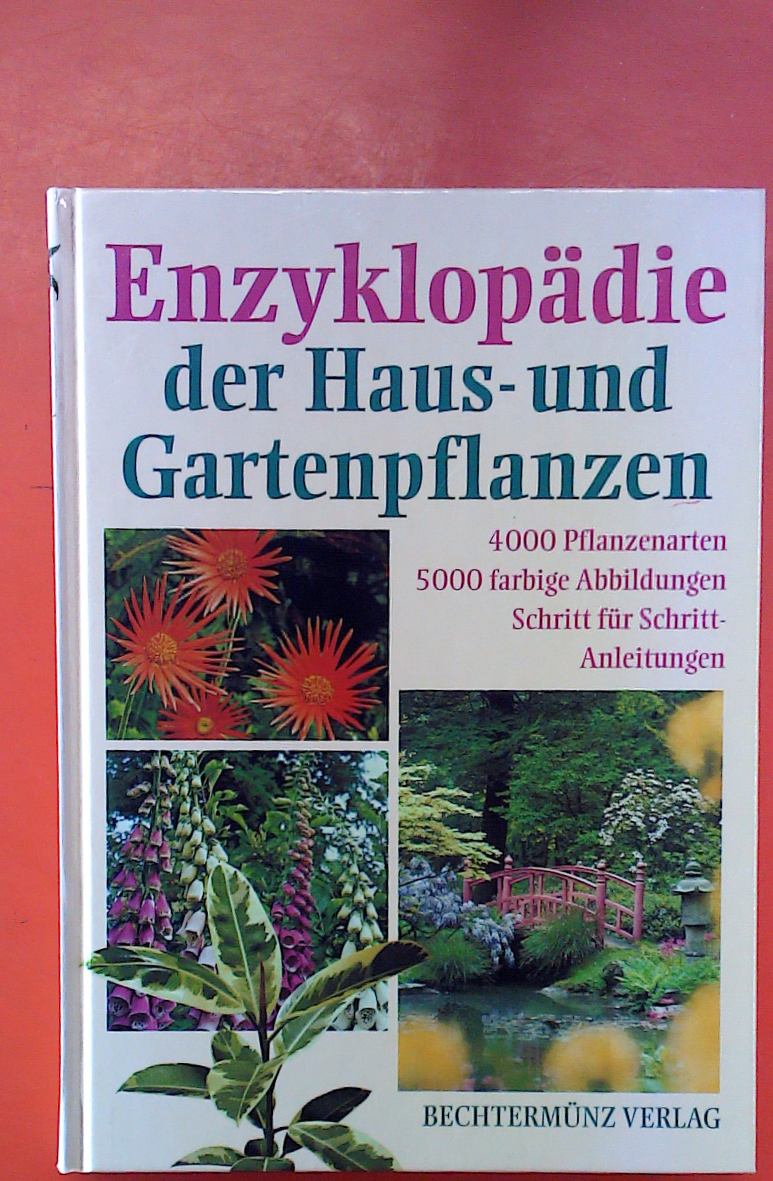 Enzyklopädie der Haus- und Gartenpflanzen - Band 5: Eur-Hech - ohne Autorenangabe