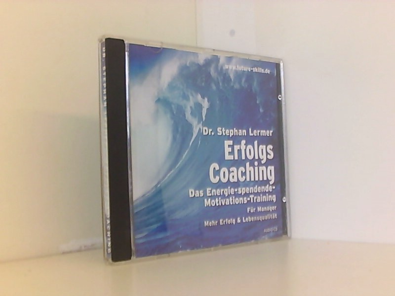 Erfolgs Coaching: Die Vision - Lermer, Stephan