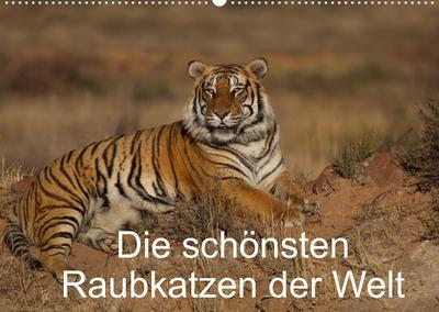 Die schönsten Raubkatzen der Welt (Wandkalender 2022 DIN A2 quer) : Bilder von den schönsten Raubkatzen, dem Gepard, dem Leopard, dem Löwe und dem Tiger. (Monatskalender, 14 Seiten ) - Marion Vollborn