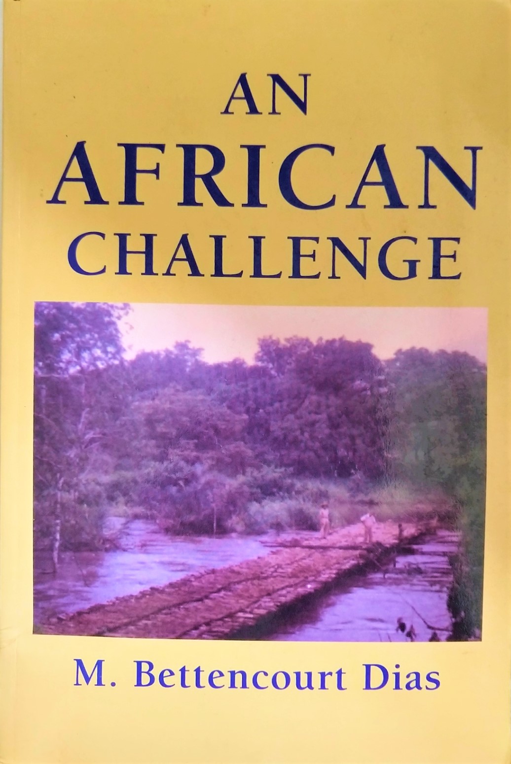 An African Challenge - M. Bettencourt Dias