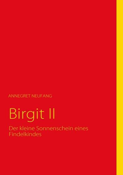 Birgit II : Der kleine Sonnenschein eines Findelkindes - Annegret Neufang