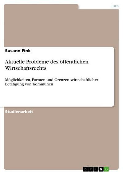 Aktuelle Probleme des öffentlichen Wirtschaftsrechts : Möglichkeiten, Formen und Grenzen wirtschaftlicher Betätigung von Kommunen - Susann Fink