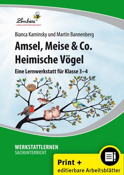 Amsel, Meise & Co: Heimische Vögel : (3. und 4. Klasse) - B. Kaminsky