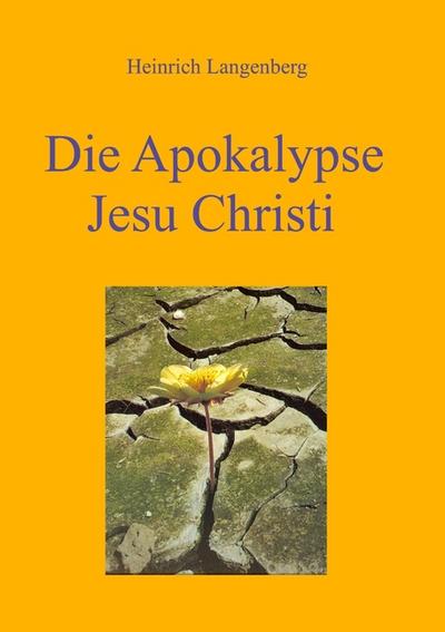 Die Apokalypse Jesu Christi : Was der Geist der Gemeinde sagt - Heinrich Langenberg